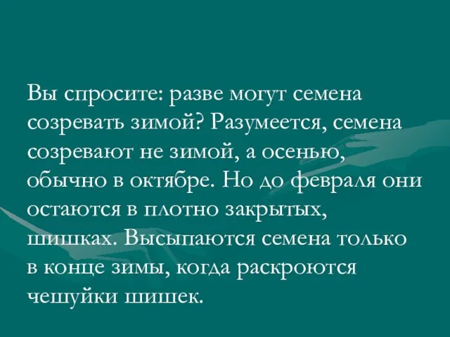 Вы спросите: разве могут семена созревать зимой? Разумеется, семена созревают не зимой,