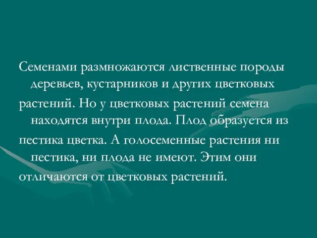 Семенами размножаются лиственные породы деревьев, кустарников и других цветковых растений. Но у