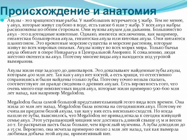 Происхождение и анатомия Акулы - это хрящекостные рыбы. У наибольших встречается 5