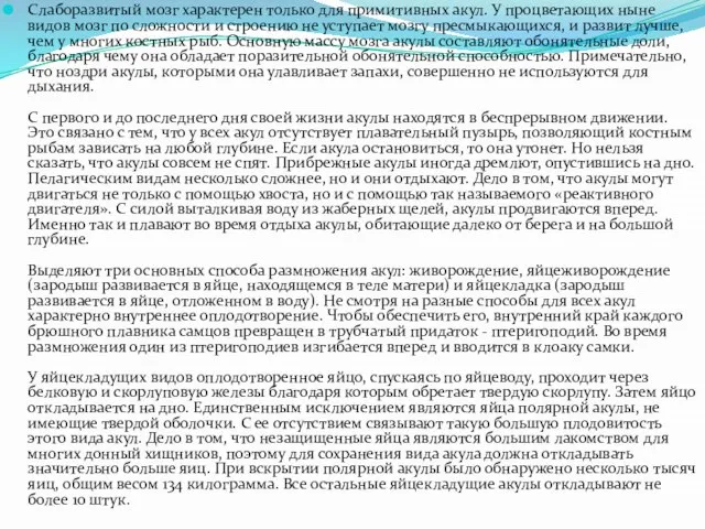 Слаборазвитый мозг характерен только для примитивных акул. У процветающих ныне видов мозг