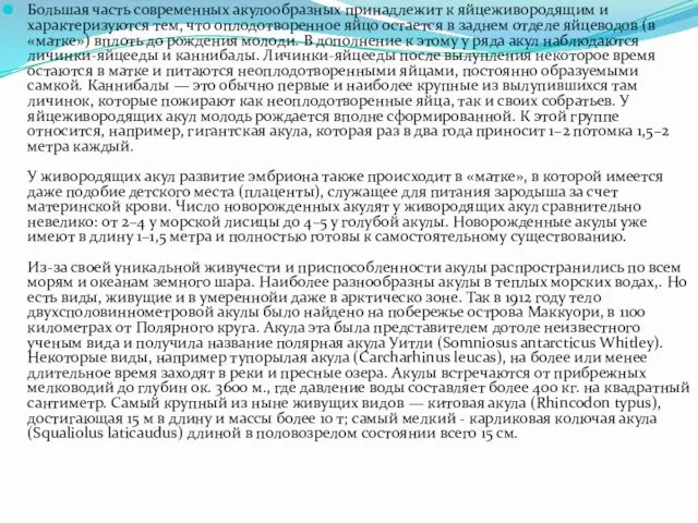 Большая часть современных акулообразных принадлежит к яйцеживородящим и характеризуются тем, что оплодотворенное