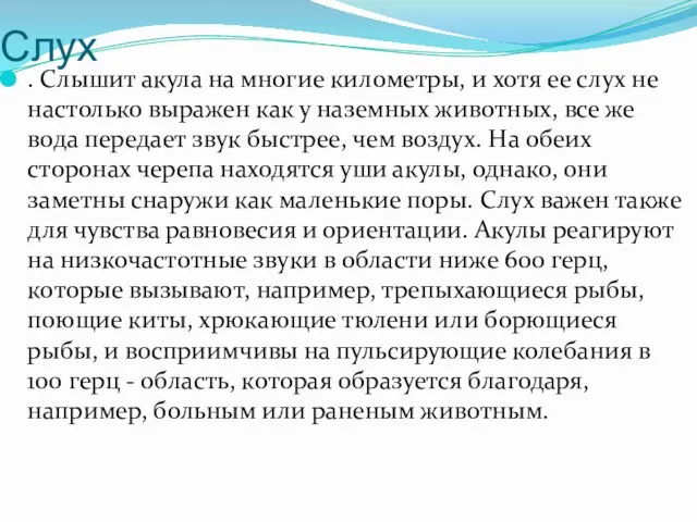 Слух . Слышит акула на многие километры, и хотя ее слух не