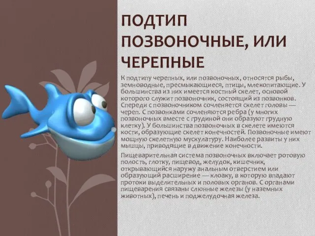 К подтипу черепных, или позвоночных, относятся рыбы, земноводные, пресмыкающиеся, птицы, млекопитающие. У