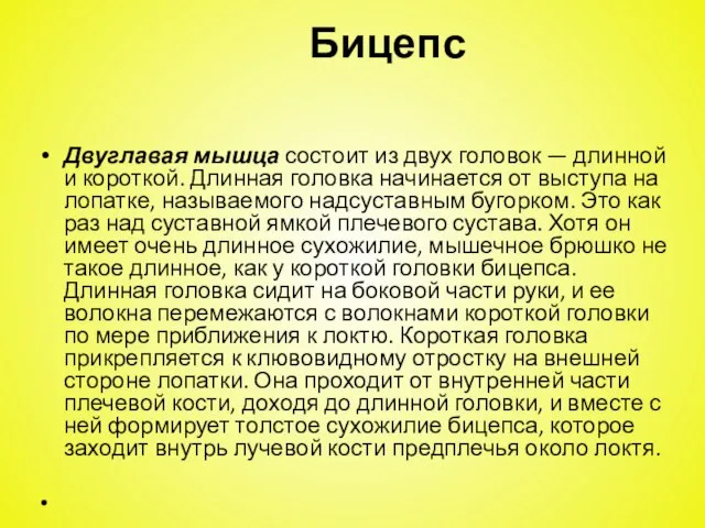 Бицепс Двуглавая мышца состоит из двух головок — длинной и короткой. Длинная