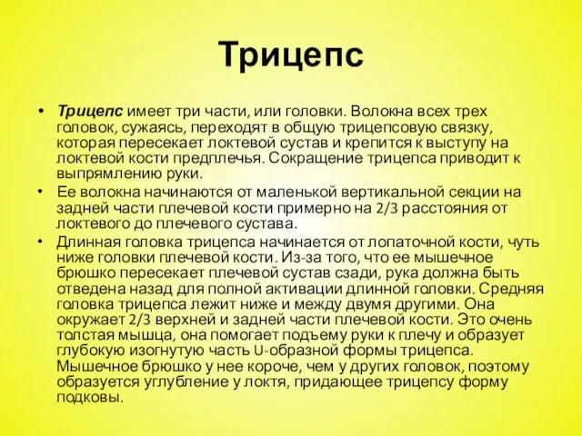 Трицепс Трицепс имеет три части, или головки. Волокна всех трех головок, сужаясь,