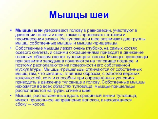 Мышцы шеи Мышцы шеи удерживают голову в равновесии, участвуют в движении головы