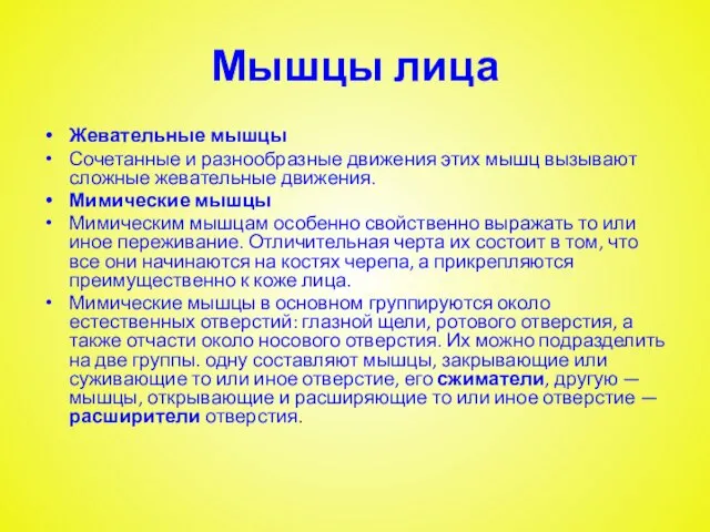 Мышцы лица Жевательные мышцы Сочетанные и разнообразные движения этих мышц вызывают сложные