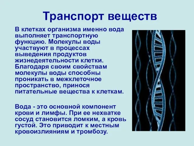 Транспорт веществ В клетках организма именно вода выполняет транспортную функцию. Молекулы воды