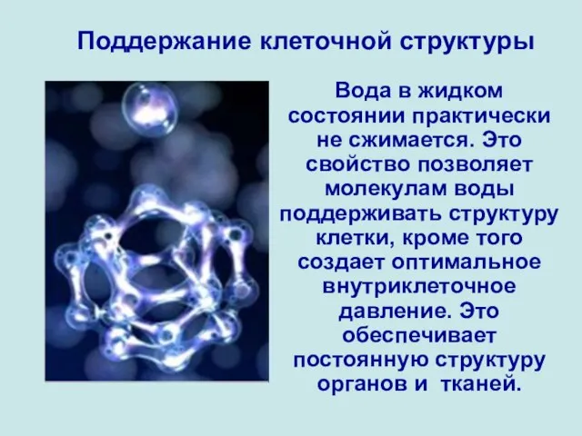 Вода в жидком состоянии практически не сжимается. Это свойство позволяет молекулам воды