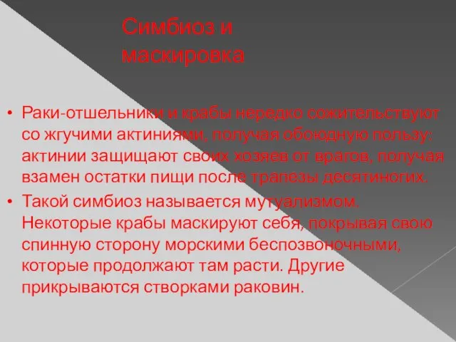 Раки-отшельники и крабы нередко сожительствуют со жгучими актиниями, получая обоюдную пользу: актинии