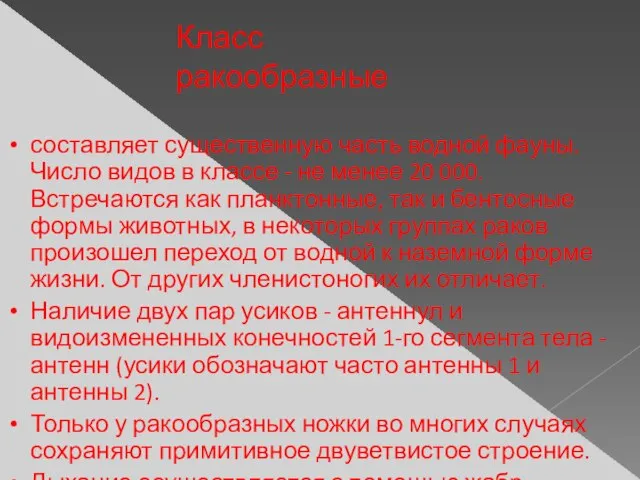 составляет существенную часть водной фауны. Число видов в классе - не менее