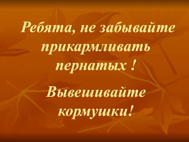 Ребята, не забывайте прикармливать пернатых ! Вывешивайте кормушки!