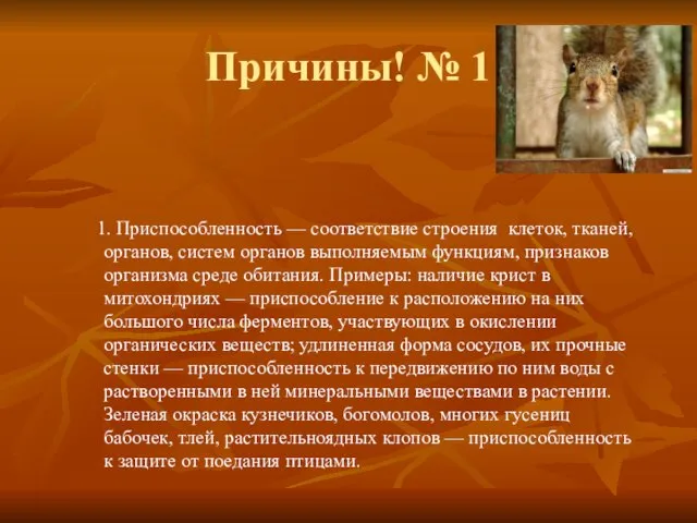 Причины! № 1 1. Приспособленность — соответствие строения клеток, тканей, органов, систем