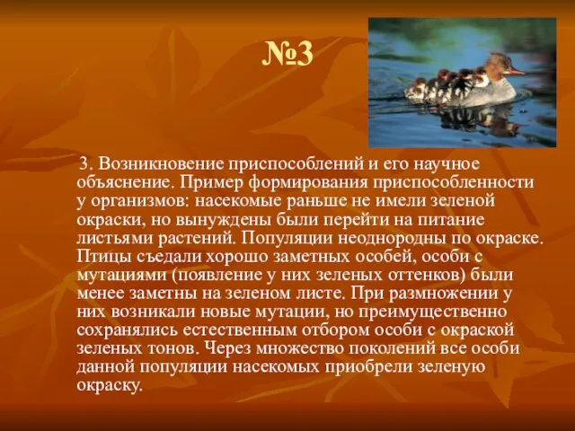 №3 3. Возникновение приспособлений и его научное объяснение. Пример формирования приспособленности у