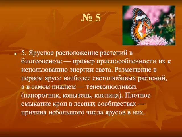 № 5 5. Ярусное расположение растений в биогеоценозе — пример приспособленности их