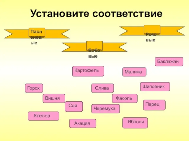 Фасоль Вишня Картофель Горох Баклажан Черемуха Слива Яблоня Перец Шиповник Акация Клевер