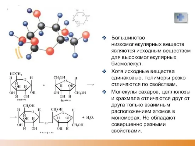 Большинство низкомолекулярных веществ являются исходным веществом для высокомолекулярных биомолекул. Хотя исходные вещества