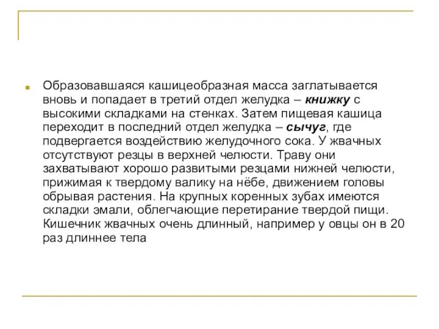 Образовавшаяся кашицеобразная масса заглатывается вновь и попадает в третий отдел желудка –