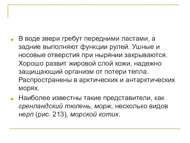 В воде звери гребут передними ластами, а задние выполняют функции рулей. Ушные