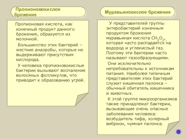 Пропионовокислое брожение Пропионовая кислота, как конечный продукт данного брожения, образуется из молочной.