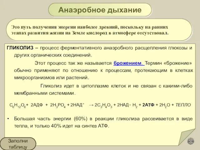 Это путь получения энергии наиболее древний, поскольку на ранних этапах развития жизни