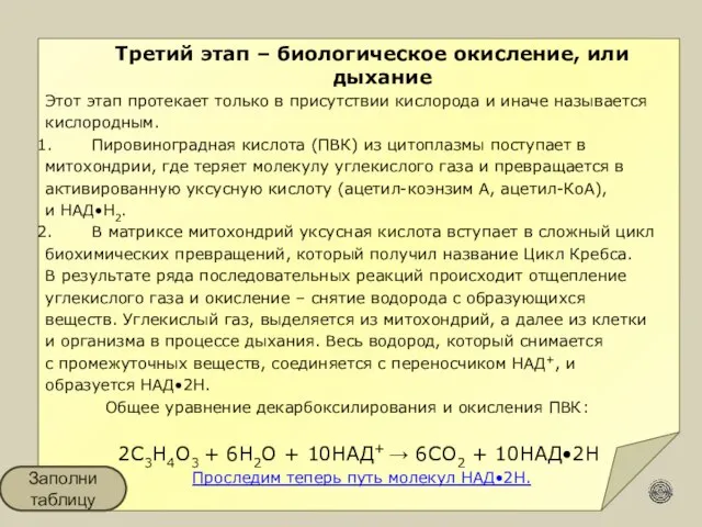 Третий этап – биологическое окисление, или дыхание Этот этап протекает только в