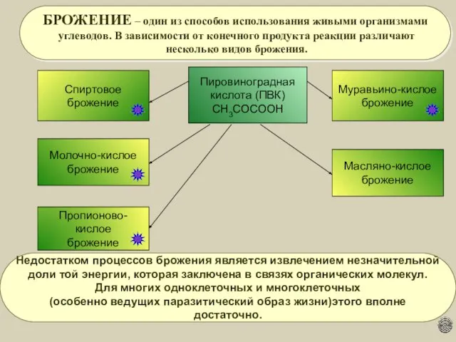 Пировиноградная кислота (ПВК) СН3СОСООН Спиртовое брожение Молочно-кислое брожение БРОЖЕНИЕ – один из