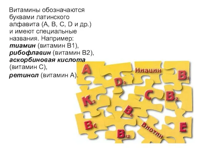 Витамины обозначаются буквами латинского алфавита (A, B, C, D и др.) и