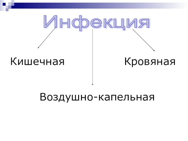 Инфекция Кишечная Воздушно-капельная Кровяная