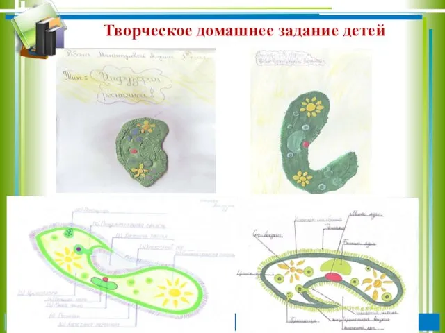 Творческое домашнее задание детей