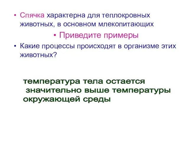 Спячка характерна для теплокровных животных, в основном млекопитающих Приведите примеры Какие процессы