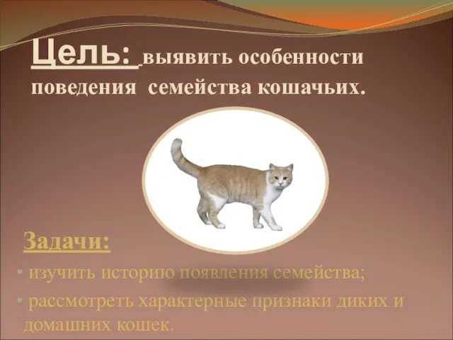 Цель: выявить особенности поведения семейства кошачьих. Задачи: изучить историю появления семейства; рассмотреть