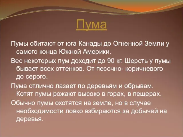 Пума Пумы обитают от юга Канады до Огненной Земли у самого конца