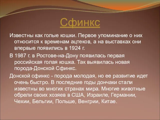 Сфинкс Известны как голые кошки. Первое упоминание о них относится к временам