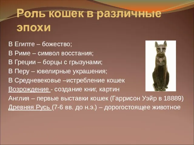 Роль кошек в различные эпохи В Египте – божество; В Риме –