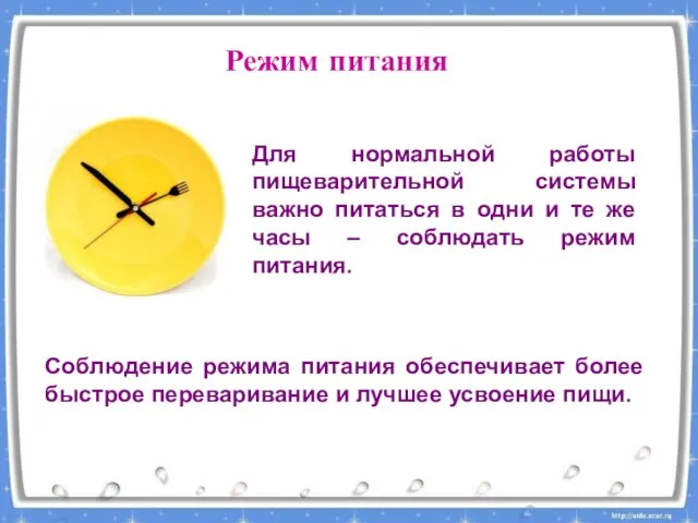 Режим питания Для нормальной работы пищеварительной системы важно питаться в одни и