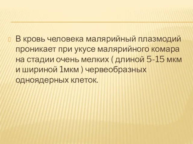 В кровь человека малярийный плазмодий проникает при укусе малярийного комара на стадии