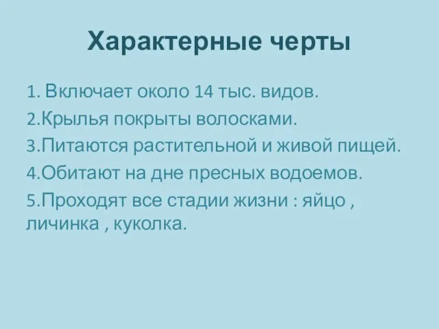 Характерные черты 1. Включает около 14 тыс. видов. 2.Крылья покрыты волосками. 3.Питаются