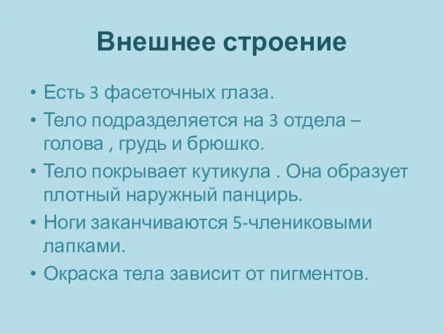 Внешнее строение Есть 3 фасеточных глаза. Тело подразделяется на 3 отдела –