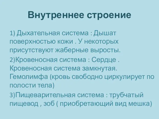 Внутреннее строение 1) Дыхательная система : Дышат поверхностью кожи . У некоторых