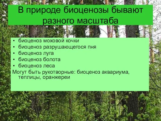 В природе биоценозы бывают разного масштаба биоценоз моховой кочки биоценоз разрушающегося пня