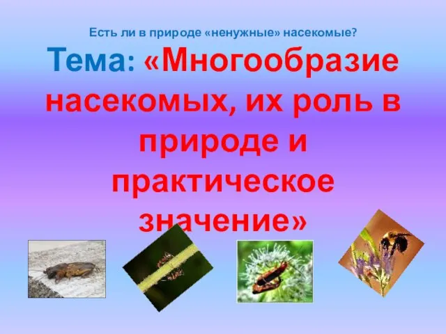 Есть ли в природе «ненужные» насекомые? Тема: «Многообразие насекомых, их роль в природе и практическое значение»