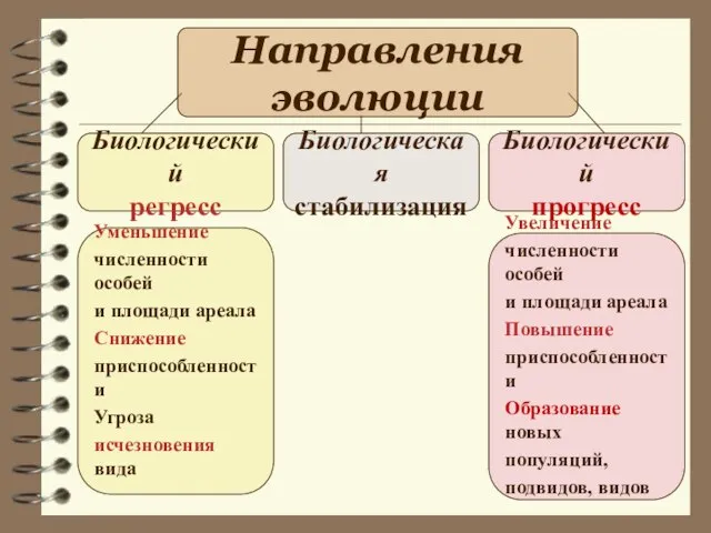 Направления эволюции Биологический регресс Биологическая стабилизация Биологический прогресс Уменьшение численности особей и