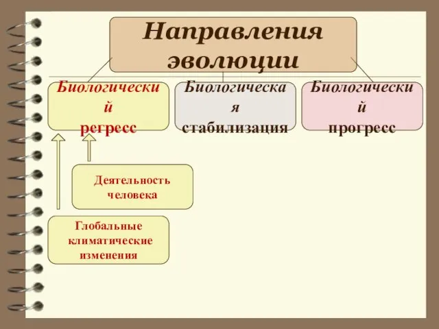 Направления эволюции Биологический регресс Биологическая стабилизация Биологический прогресс Глобальные климатические изменения Деятельность человека