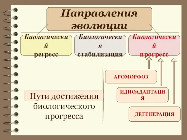 АРОМОРФОЗ ИДИОАДАПТАЦИЯ ДЕГЕНЕРАЦИЯ Направления эволюции Биологический регресс Биологическая стабилизация Биологический прогресс Пути достижения биологического прогресса