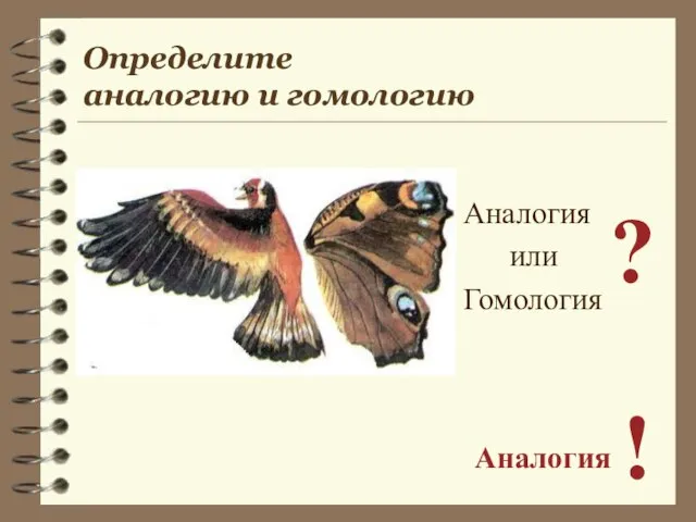 Аналогия или Гомология ? Аналогия ! Определите аналогию и гомологию