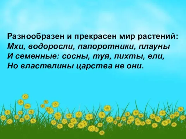 Разнообразен и прекрасен мир растений: Мхи, водоросли, папоротники, плауны И семенные: сосны,