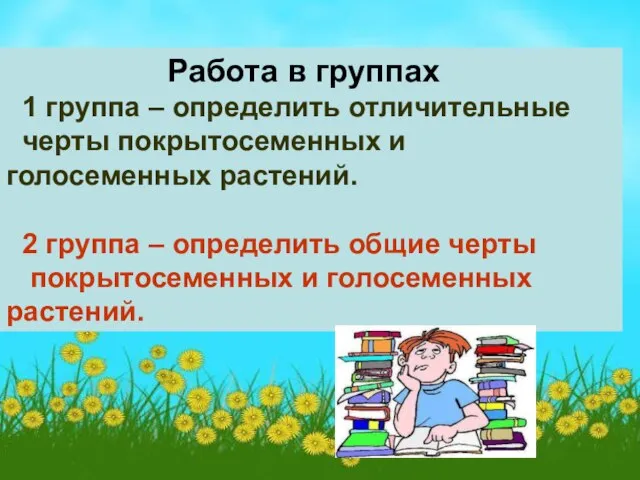 Работа в группах 1 группа – определить отличительные черты покрытосеменных и голосеменных