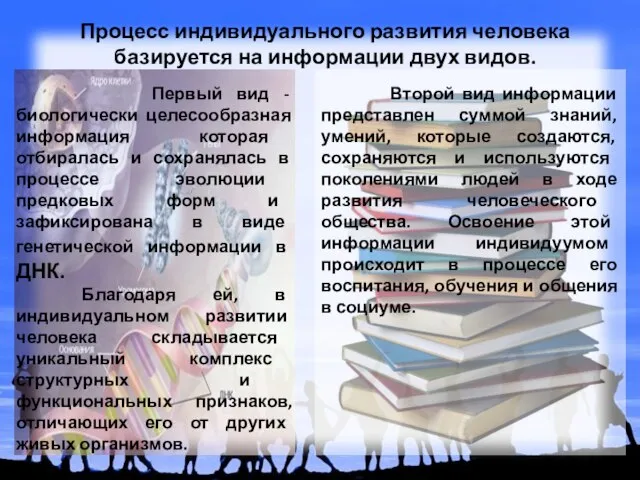 Процесс индивидуального развития человека базируется на информации двух видов. Первый вид -