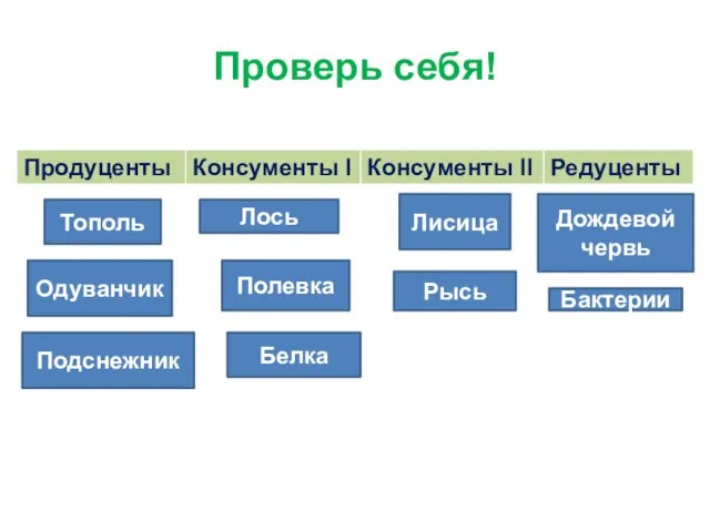 Проверь себя! Тополь Одуванчик Подснежник Полевка Белка Лось Лисица Рысь Дождевой червь Бактерии